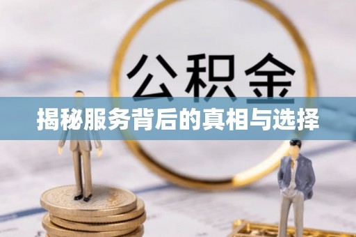金州新区揭秘服务背后的真相与选择