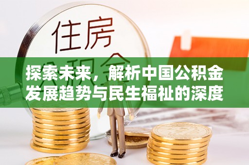 金州新区探索未来，解析中国公积金发展趋势与民生福祉的深度关联