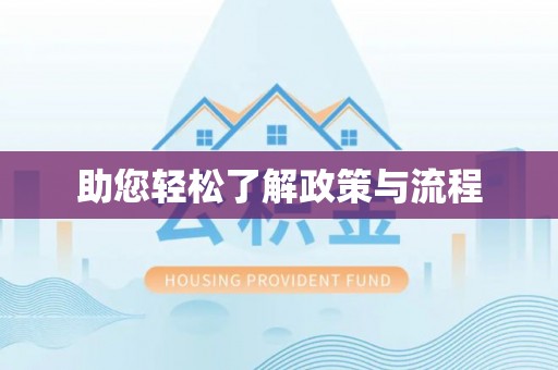 金州新区助您轻松了解政策与流程