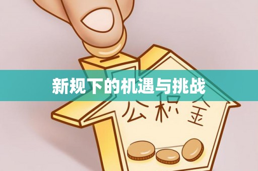 金州新区新规下的机遇与挑战