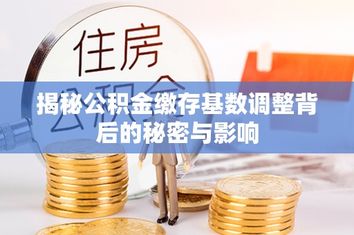 金州新区揭秘公积金缴存基数调整背后的秘密与影响