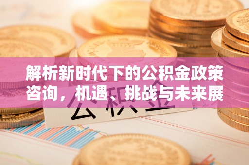 金州新区解析新时代下的公积金政策咨询，机遇、挑战与未来展望