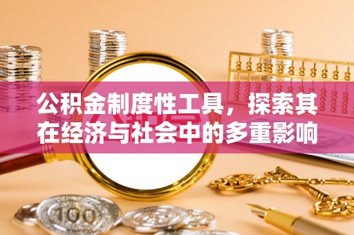 金州新区公积金制度性工具，探索其在经济与社会中的多重影响