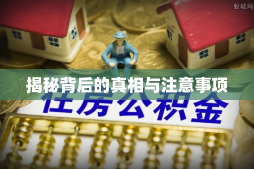金州新区揭秘背后的真相与注意事项
