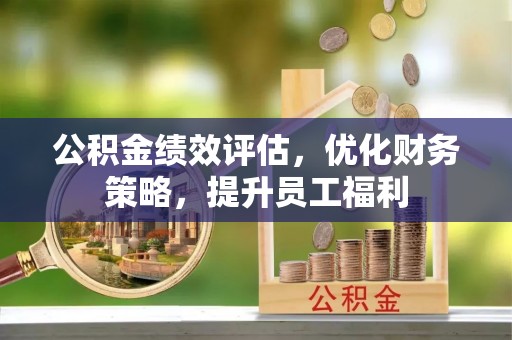 金州新区公积金绩效评估，优化财务策略，提升员工福利