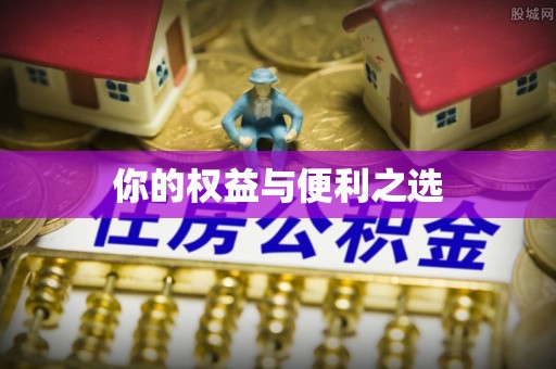 金州新区你的权益与便利之选