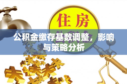 金州新区公积金缴存基数调整，影响与策略分析