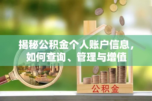 金州新区揭秘公积金个人账户信息，如何查询、管理与增值