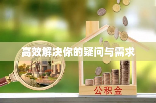 金州新区高效解决你的疑问与需求