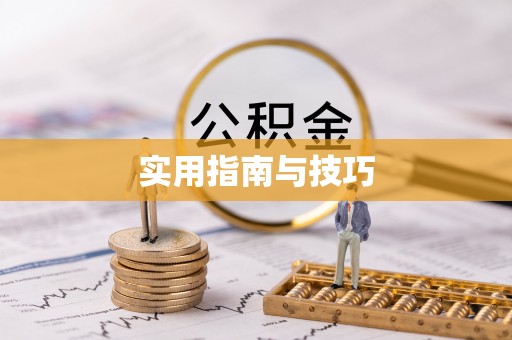 金州新区实用指南与技巧