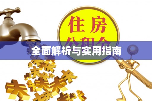 金州新区全面解析与实用指南