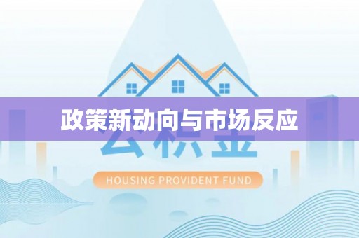金州新区政策新动向与市场反应