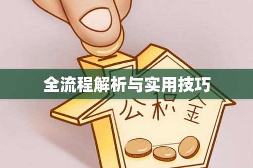 金州新区全流程解析与实用技巧