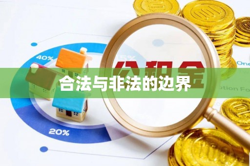 金州新区合法与非法的边界