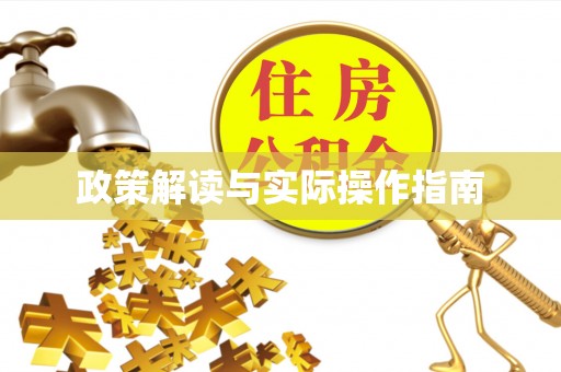 金州新区政策解读与实际操作指南