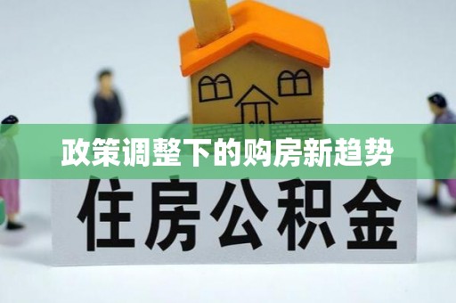 金州新区政策调整下的购房新趋势
