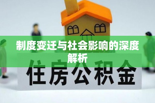 金州新区制度变迁与社会影响的深度解析