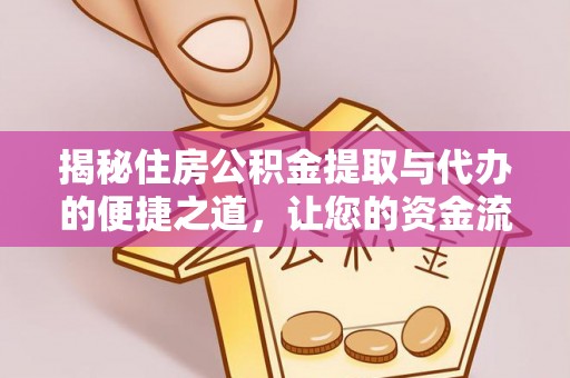 金州新区揭秘住房公积金提取与代办的便捷之道，让您的资金流动更高效