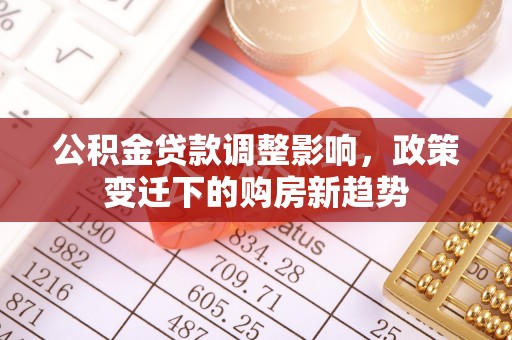 金州新区公积金贷款调整影响，政策变迁下的购房新趋势