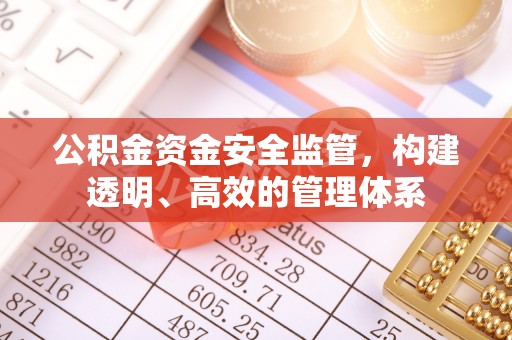 金州新区公积金资金安全监管，构建透明、高效的管理体系