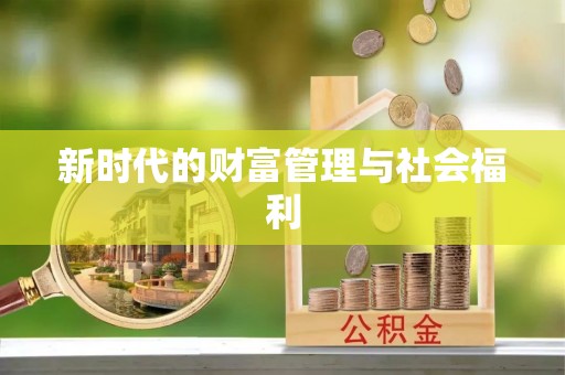 金州新区新时代的财富管理与社会福利