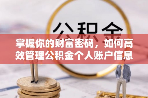 金州新区掌握你的财富密码，如何高效管理公积金个人账户信息