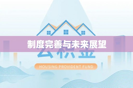 金州新区制度完善与未来展望