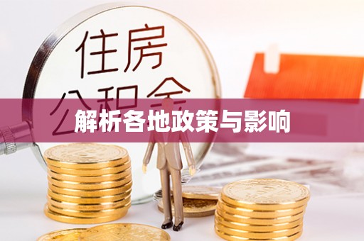 金州新区解析各地政策与影响