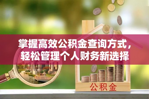 金州新区掌握高效公积金查询方式，轻松管理个人财务新选择