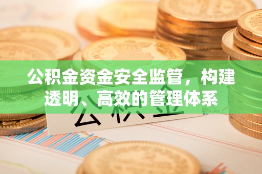 金州新区公积金资金安全监管，构建透明、高效的管理体系