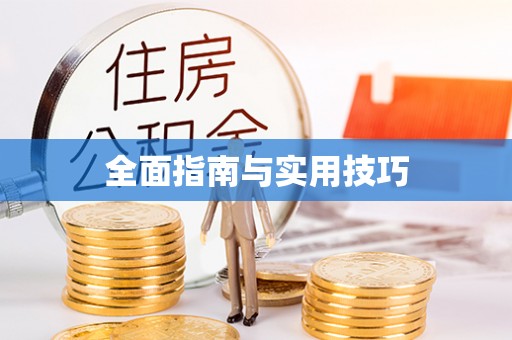金州新区全面指南与实用技巧