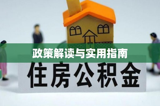 金州新区政策解读与实用指南