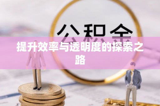 金州新区提升效率与透明度的探索之路