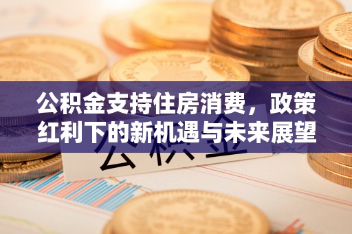 金州新区公积金支持住房消费，政策红利下的新机遇与未来展望