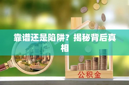 金州新区靠谱还是陷阱？揭秘背后真相