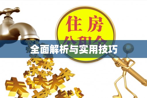金州新区全面解析与实用技巧