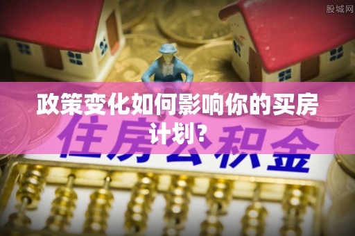 金州新区政策变化如何影响你的买房计划？