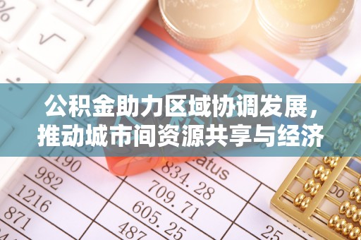 金州新区公积金助力区域协调发展，推动城市间资源共享与经济均衡发展