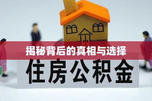 金州新区揭秘背后的真相与选择