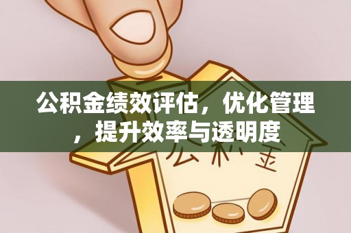 金州新区公积金绩效评估，优化管理，提升效率与透明度