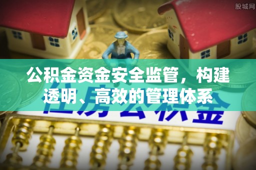 金州新区公积金资金安全监管，构建透明、高效的管理体系