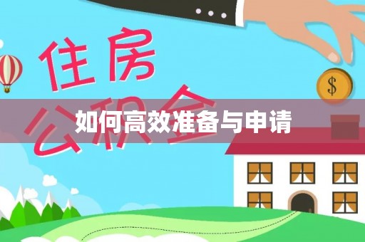 金州新区如何高效准备与申请
