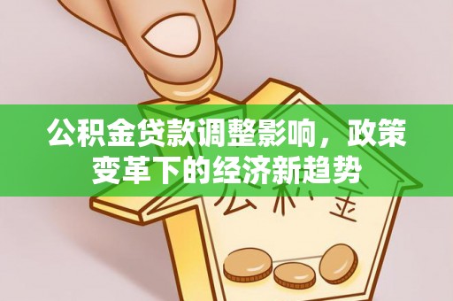 金州新区公积金贷款调整影响，政策变革下的经济新趋势