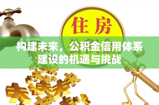 金州新区构建未来，公积金信用体系建设的机遇与挑战