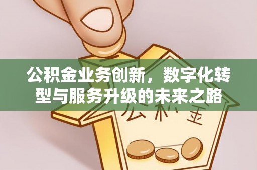 金州新区公积金业务创新，数字化转型与服务升级的未来之路