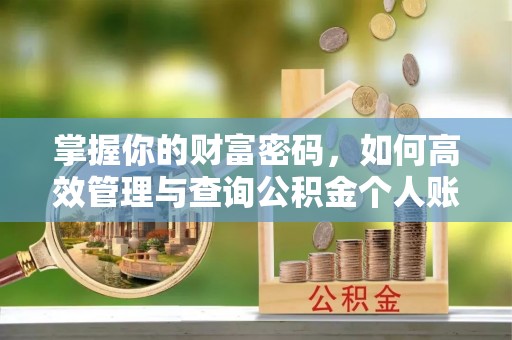 金州新区掌握你的财富密码，如何高效管理与查询公积金个人账户信息