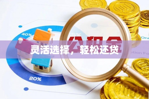 金州新区灵活选择，轻松还贷