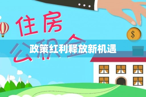 金州新区政策红利释放新机遇