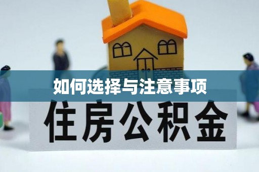 金州新区如何选择与注意事项