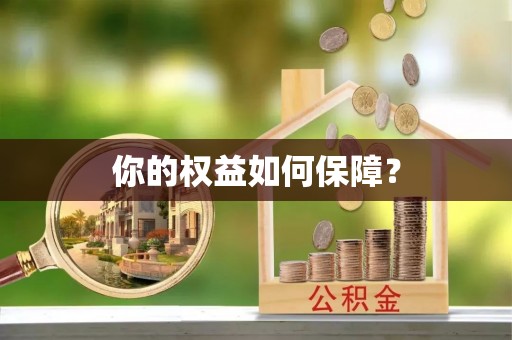 金州新区你的权益如何保障？